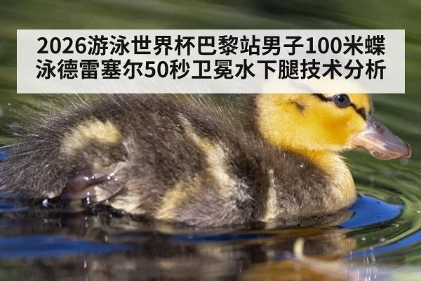 2026游泳世界杯巴黎站男子100米蝶泳德雷塞尔50秒卫冕水下腿技术分析