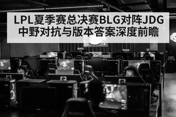 LPL夏季赛总决赛BLG对阵JDG 中野对抗与版本答案深度前瞻